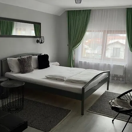Guest house Casa Linistita 3*