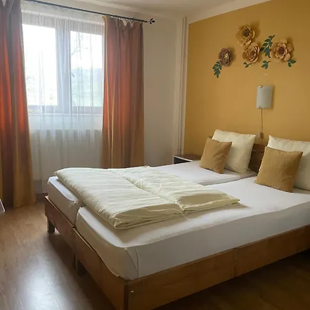 Casa Linistita Guest house Chiscau